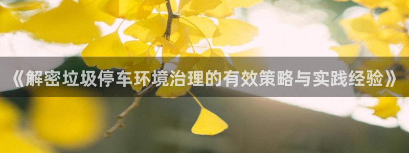 凯发k8官网备用网址：《解密垃圾停车环境