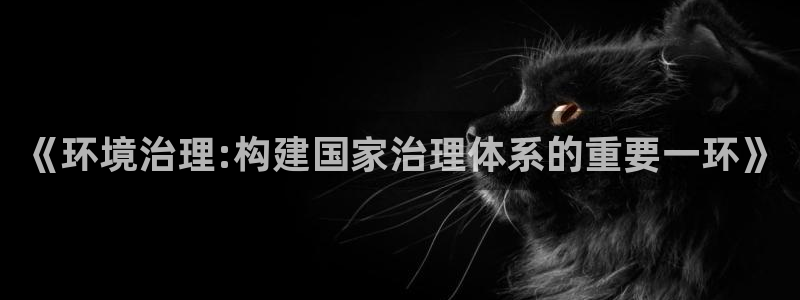 凯发官网入口首页：《环境治理:构建国家治