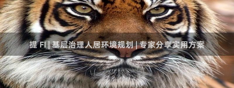 凯发k8国际(中国)官方网站·一触即发：