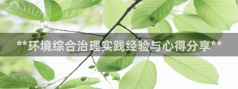 k8凯发|**环境综合治理实践经验与心得