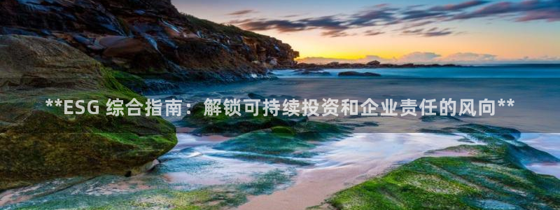 凯发唯一官方网站|**ESG 综合指南：