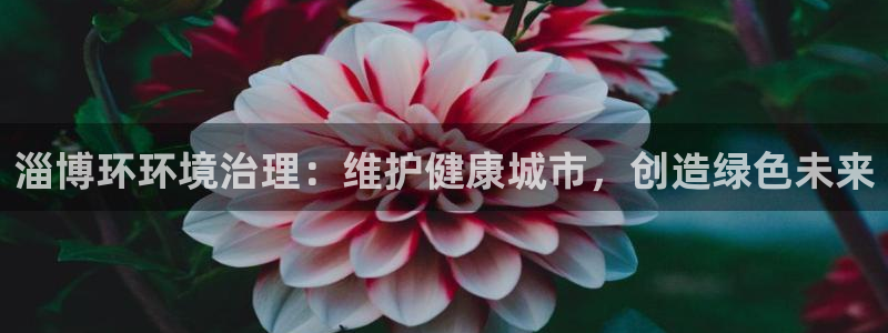 凯发k8国际首页登录|淄博环环境治理：维