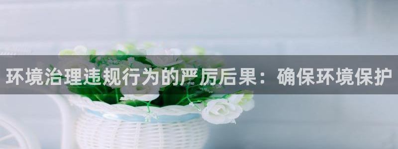凯发k8官网备用网址|环境治理违规行为的严厉后果：确保环境保护