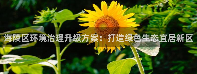 凯发就来凯发天生赢家一触即发|海陵区环境治理升级方案：打造绿色生态宜居新区