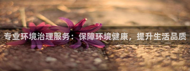 凯发k8国际首页登录|专业环境治理服务：