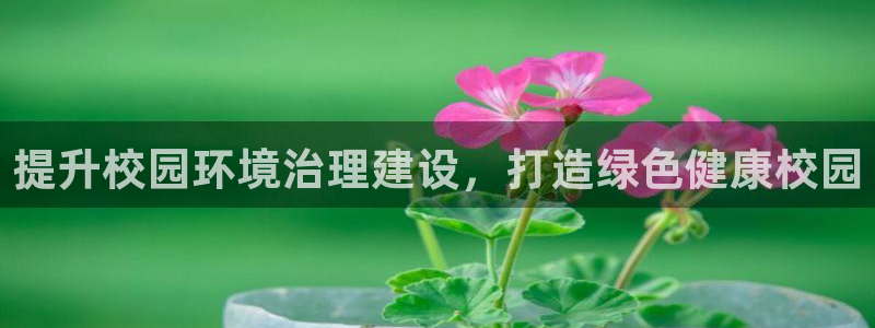 凯发k8娱乐官网手机端|提升校园环境治理建设，打造绿色健康校园